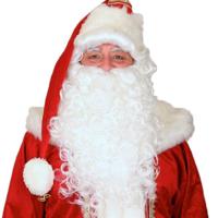 Kerstman pruik en baard - wit - volwassenen - synthetisch - kerstman accessoires