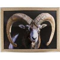 Schootkussen/laptray ram/schaap print 33 x 43 cm - thumbnail