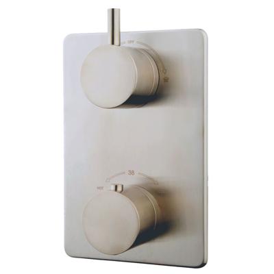 Douchekraan Caral Afbouwdeel Thermostatisch Inbouw Rond Geborsteld Staal 2 Greeps