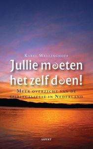 Jullie moeten het zelf doen! - Karel Wellinghoff - ebook