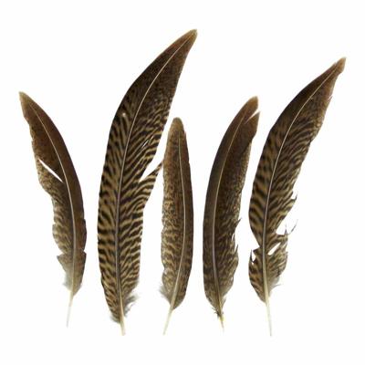 Goudkleurige Fazantenveren - 13 cm (Set van 5)