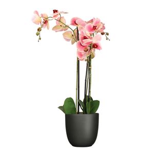 Orchidee kunstplant roze - 75 cm - inclusief bloempot titanium grijs glans