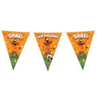 Loeki de Leeuw Hup Holland vlaggenlijn oranje 10 meter