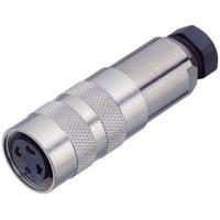 binder 99-5114-15-05 Ronde connector Koppeling, recht Totaal aantal polen: 5 Serie (ronde connectors): 423 1 stuk(s)