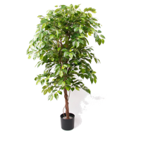 Wants&Needs Plants Kunstplant Ficus Deluxe
