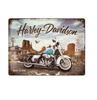 Tinnen Bord 30 x 40 Harley-Davidson - Route 66 Road King Classic