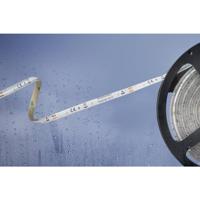 Barthelme Basic 51540433 51540433 LED-strip Met open kabeleinde 12 V 5 m Neutraalwit 1 stuk(s)