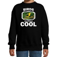 Dieren wielewaal vogel sweater zwart kinderen - birds are cool trui jongens en meisjes - thumbnail