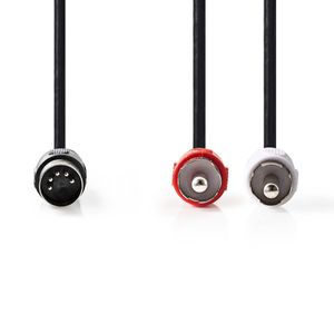 DIN-Audiokabel | DIN 5-Pins Male - 2x RCA Male | 1,0 m | Zwart