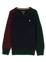 Ralph Lauren Kids pull Polo Pony - Bleu