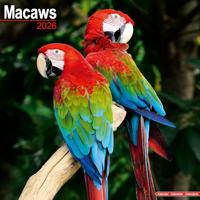 Macaws Calendar 2026 Square Bird Wall Calendar - 16 Month