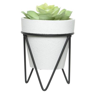 Vetplantje/kamerplant kunstplanten in pot op standaard 16 cm - Kunstplanten Vetplantje/kamerplant kunstplanten in pot op standaard 16 cm - Kunstplanten