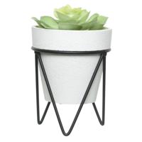 Vetplantje/kamerplant kunstplanten in pot op standaard 16 cm - Kunstplanten