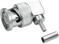 Telegärtner J01000A0010 J01000A0010 BNC-connector Stekker, haaks 50 Ω 1 stuk(s)