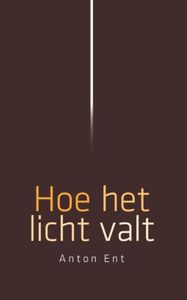 Hoe het licht valt - Anton Ent - ebook