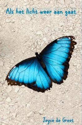 Als het licht weer aan gaat - Joyce de Groot - eBook (9789402159202)
