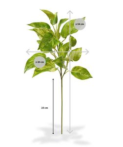 Pothos kunstbladtak deluxe 50 cm