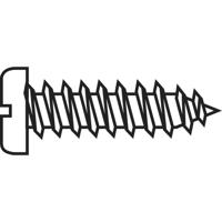 TOOLCRAFT 839814 Cilinderplaatschroeven 2.9 mm 9.5 mm Sleuf DIN 7971 Staal Verzinkt 20 stuk(s)