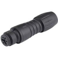 binder 99-9214-00-05 Ronde connector Koppeling, recht Totaal aantal polen: 5 Serie (ronde connectors): 620 1 stuk(s)