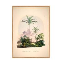 The Dybdahl Co wanddecoratie Astrocaryum Vulgare Cocos Nueifare (30x40 cm)