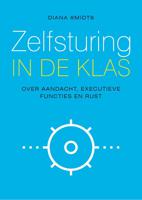 Zelfsturing in de klas (Paperback)