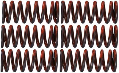 TRW Clutch spring kit mef325-6
