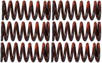 TRW Clutch spring kit mef325-6