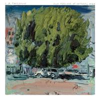 Our Feeling Of Natural High - LP (0767870660399)