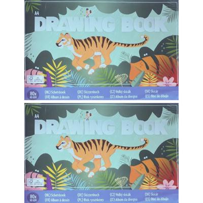 2x Schetsboeken/tekenboeken A4 Formaat 80 Vellen - Schetsboeken