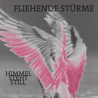 Himmel Steht Still - LP (4250137267821)