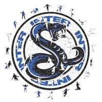 Iconic Puzzles, Inter Snake Officieel product, houten puzzel voor volwassenen en kinderen, 100% duurzaam hout, maat M, 250 stuks