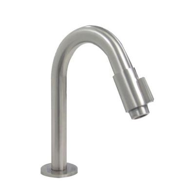 Toiletkraan Ore Dimpel Laag Rond RVS