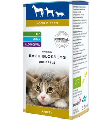 Lemon Pharma Lemon Pharma Bach Bloesem Dier Angst (20ml) Lemon Pharma Lemon Pharma Bach Bloesem Dier Angst (20ml)