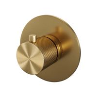 Inbouwthermostaat Brauer Gold Carving met Ronde knop en Rozet Geborsteld Goud Brauer - thumbnail