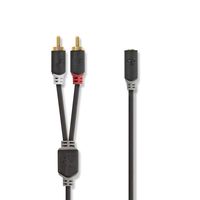 Nedis Stereo-Audiokabel | 2x RCA Male | 3,5 mm Female | 0.2 m | 1 stuks - CABW22255AT02 CABW22255AT02