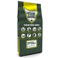 YOURDOG VLINDERHOND EN NACHT- VLINDERHOND PUP 12 KG