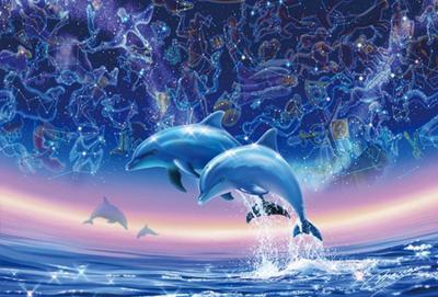Diamond painting dolfijnen schilderijen in de sale! Diamond painting dolfijnen schilderijen in de sale!