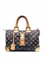 Louis Vuitton Pre-Owned x Takashi Murakami sac à main Speedy (2006) - Noir