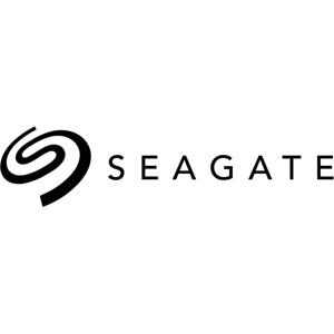 Seagate SkyHawk ST4000VX016 interne harde schijf 4 TB 256 MB 3.5" SATA III