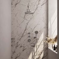 Brauer Brushed Edition complete inbouw regendouche met 3 standen handdouche, gebogen wandarm en hoofddouche 30cm set 10 RVS geborsteld PVD