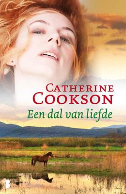 Een dal van liefde - Catherine Cookson - ebook