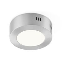 Light depot - LED plafondlamp ska 12 - mat staal - Outlet - thumbnail