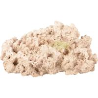Aquarium Rocco Koraal Beige - 24 x 20 x 11 cm 24 x 20 x 11 cm Flamingo Beige