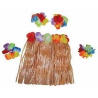 Hawaii verkleedsetje - 4-delig - voor kinderen - meisjes - tropisch - verkleedaccessoires