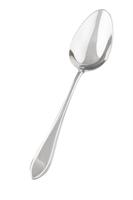 KELTUM - Puntfilet 18/10 - Groentelepel