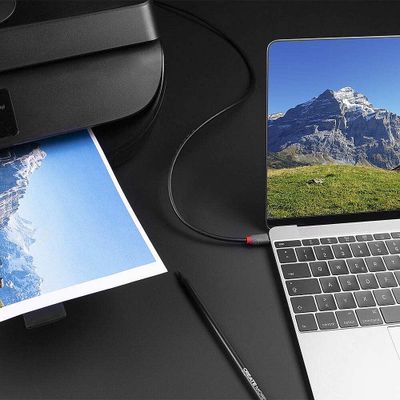 LINDY USB-kabel USB 2.0 USB-C stekker, USB-B stekker 2.00 m Zwart 36942