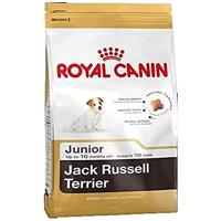 Royal Canin Dog Food Jack Russell Junior 3 Kg,Wit