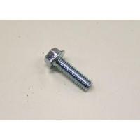 Bofix - 219620 flensbout m6x20 verz. Sw8 p/12