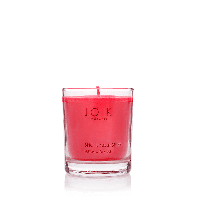 Geurkaars in Glas 'Gekruide Cranberry' - Soja Was Vegan (145 gram)