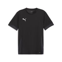 PUMA teamGOAL Matchday Voetbalshirt Zwart Wit Grijs